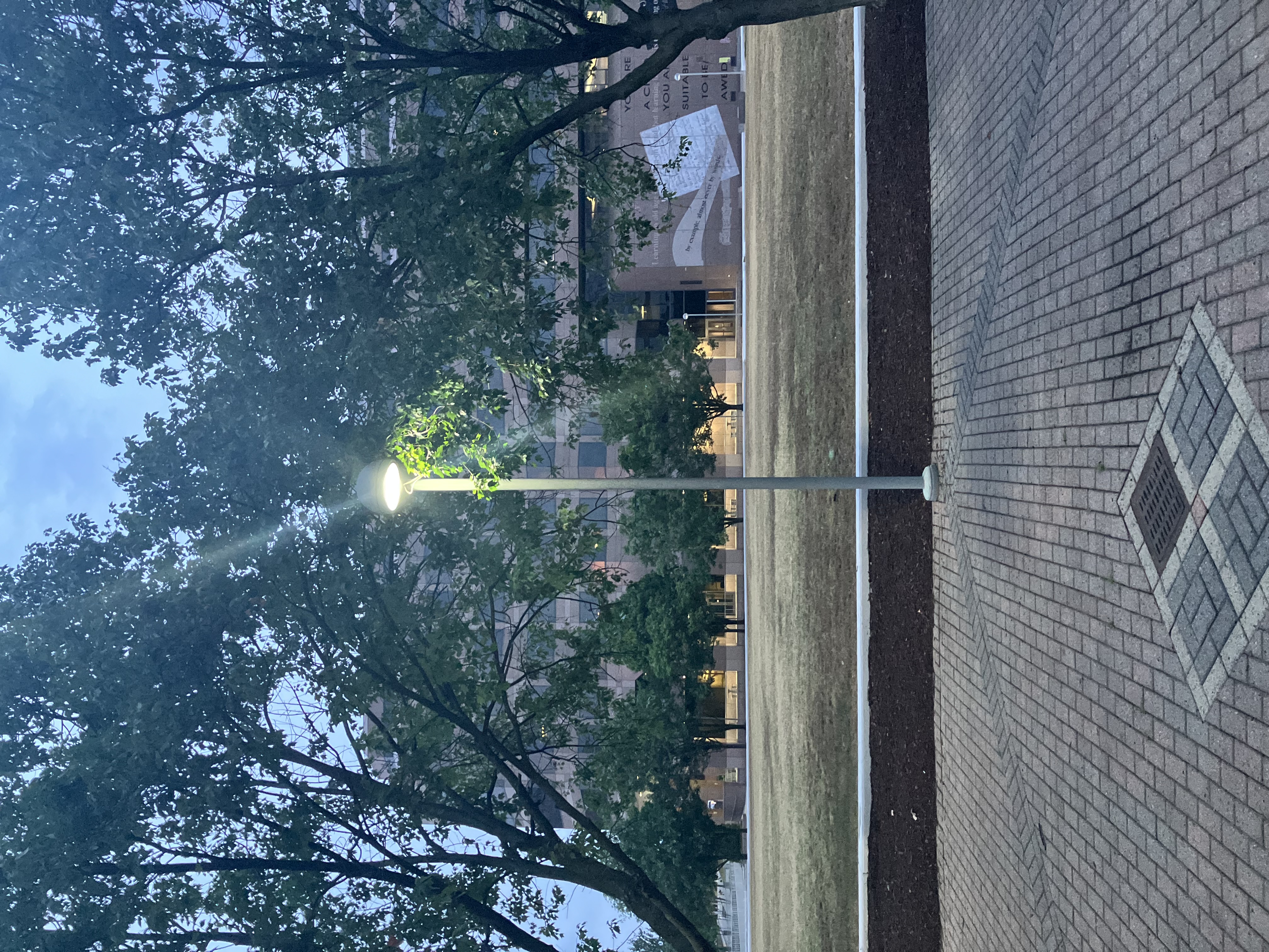 The persistent street lamp on