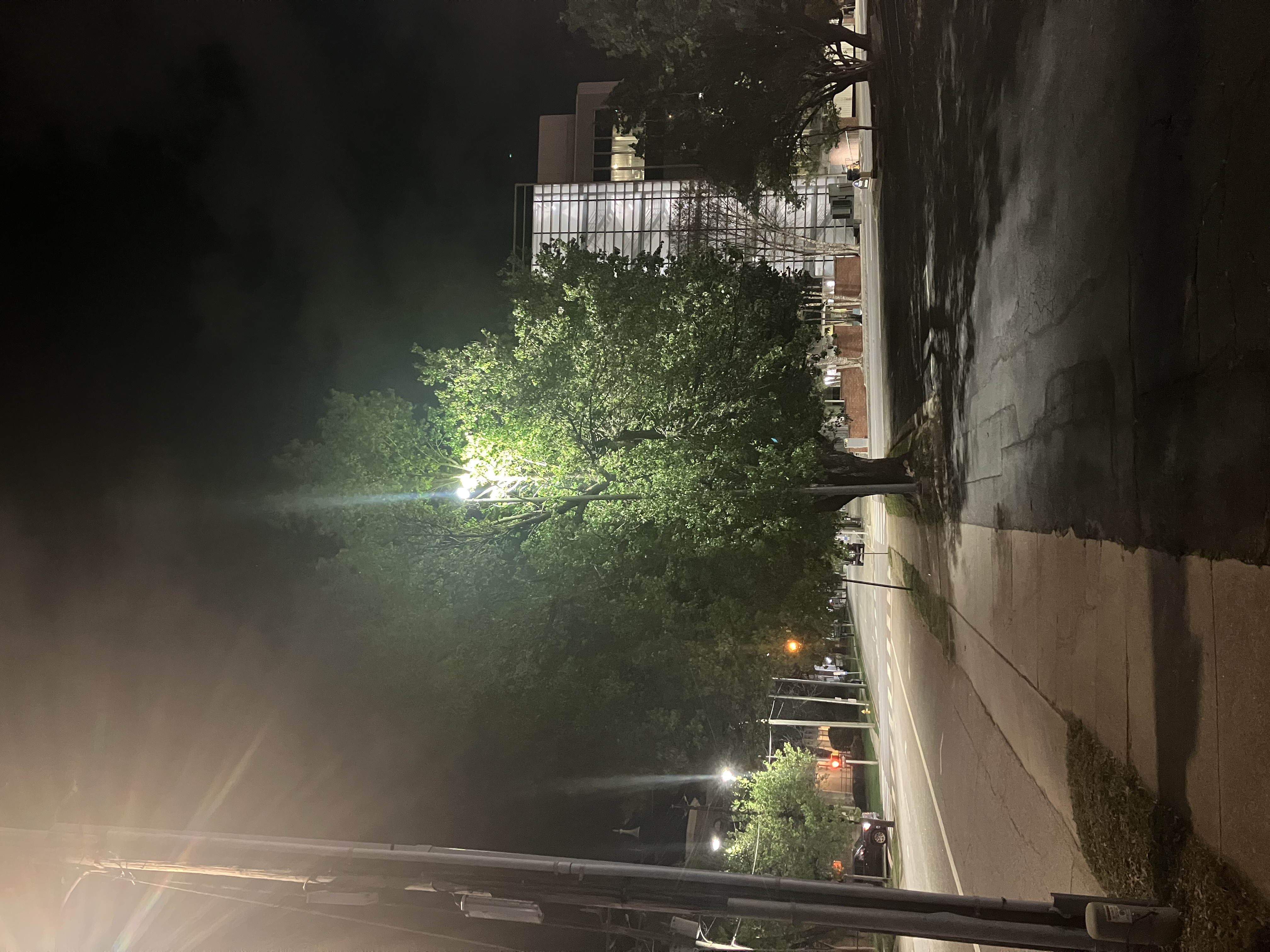 The survivor street lamp on